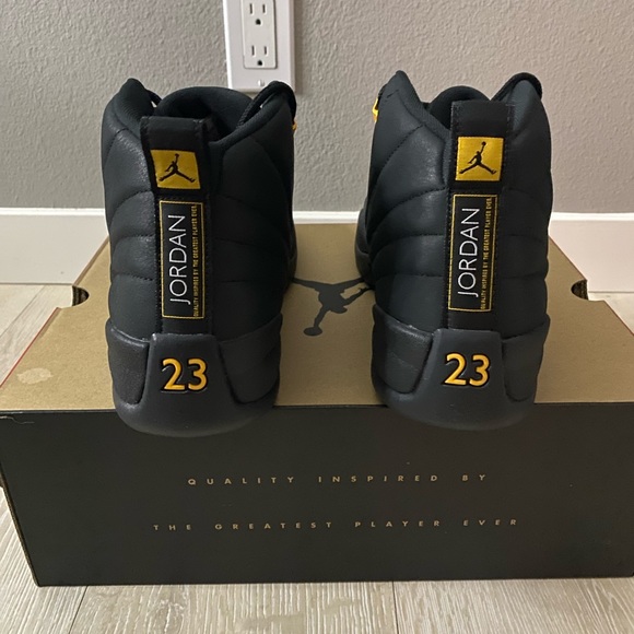 Air Jordan 12 black taxi size 11